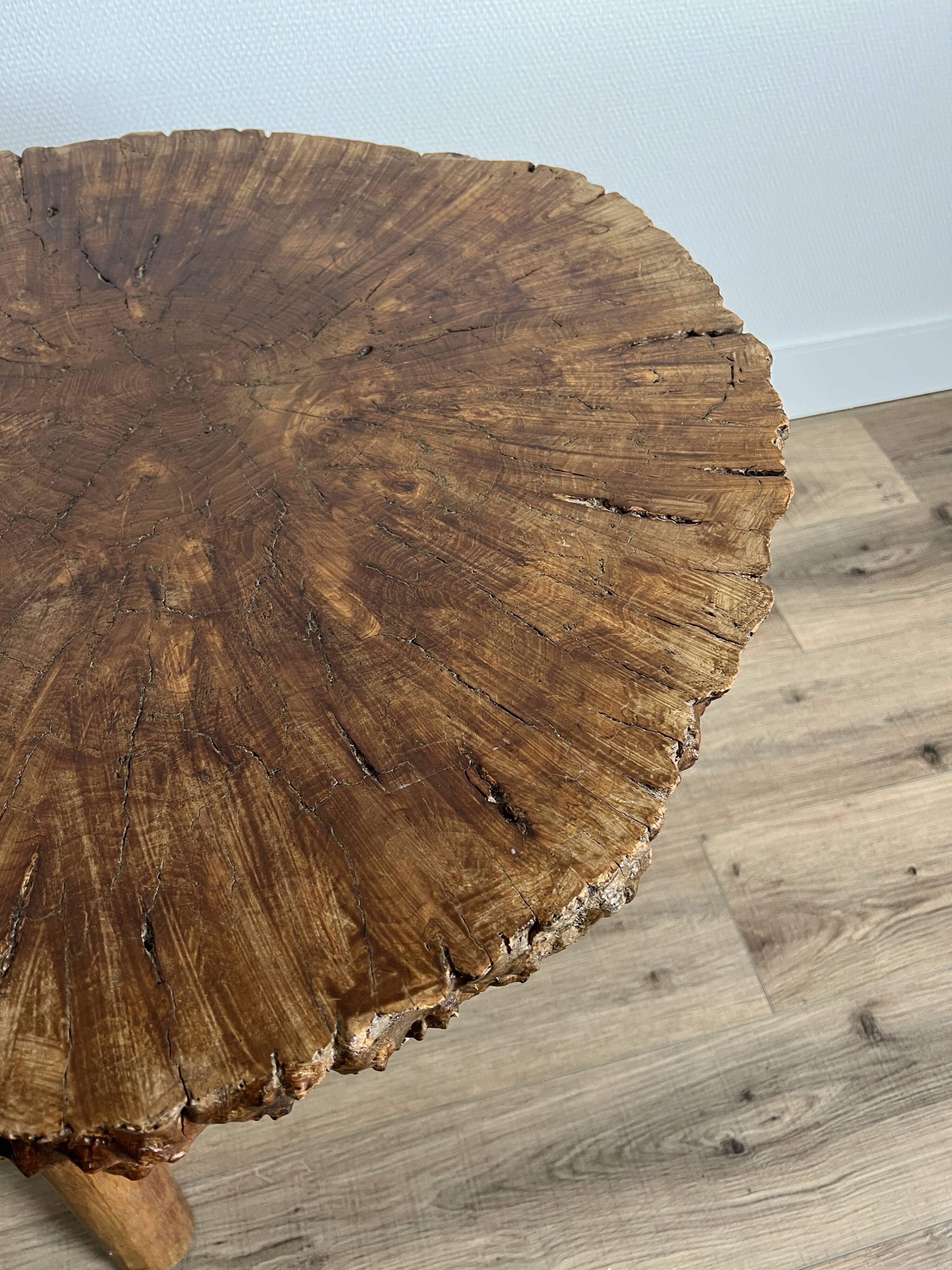 Brutalist tripod coffee table in elm burl, 1950.