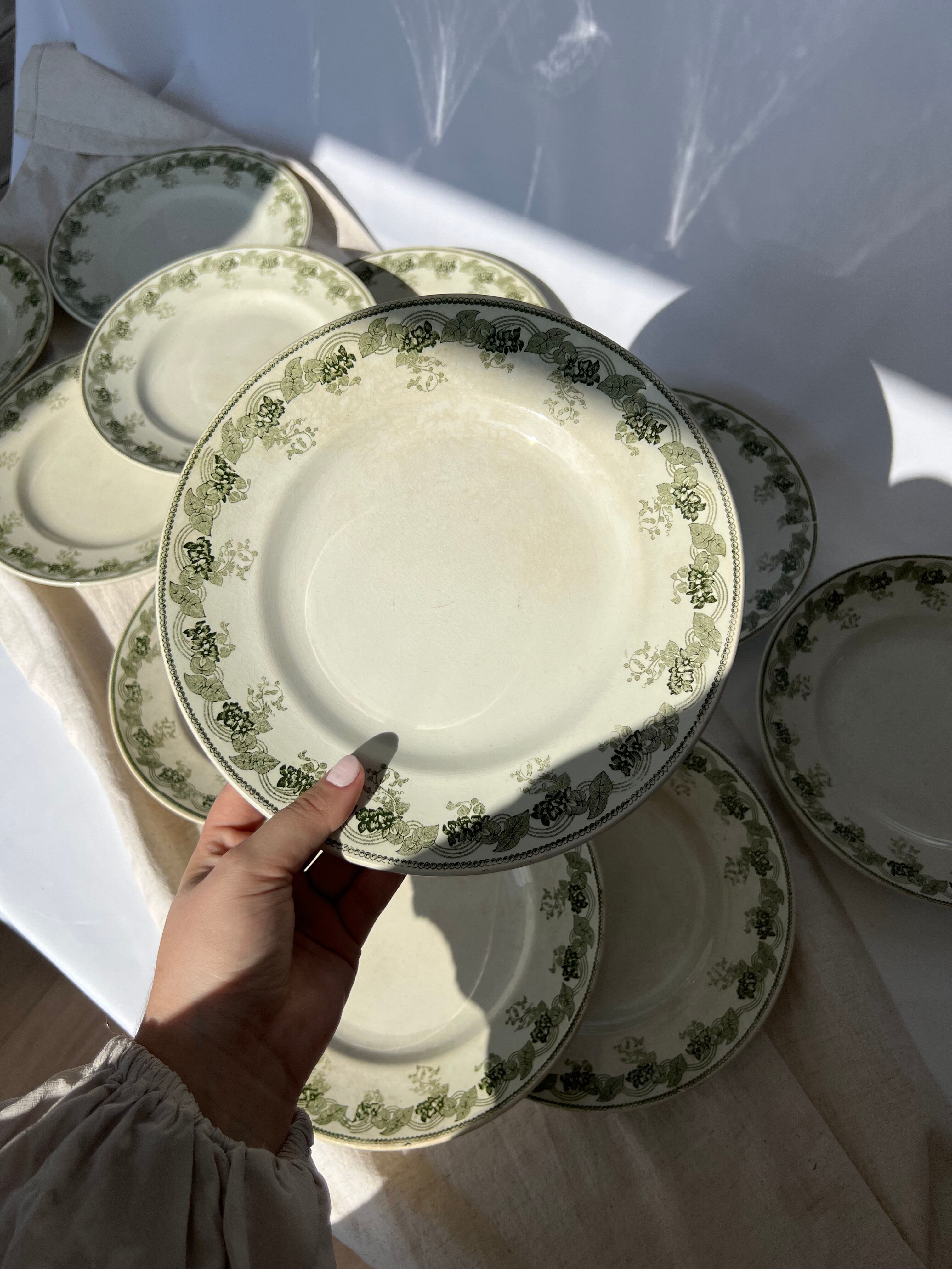 Moulin Des Loups & Hamage 12 plates model "Violetta" early twentieth century