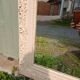 Antique carved wooden mirror