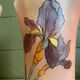 Paire de vases art nouveau début XXeme