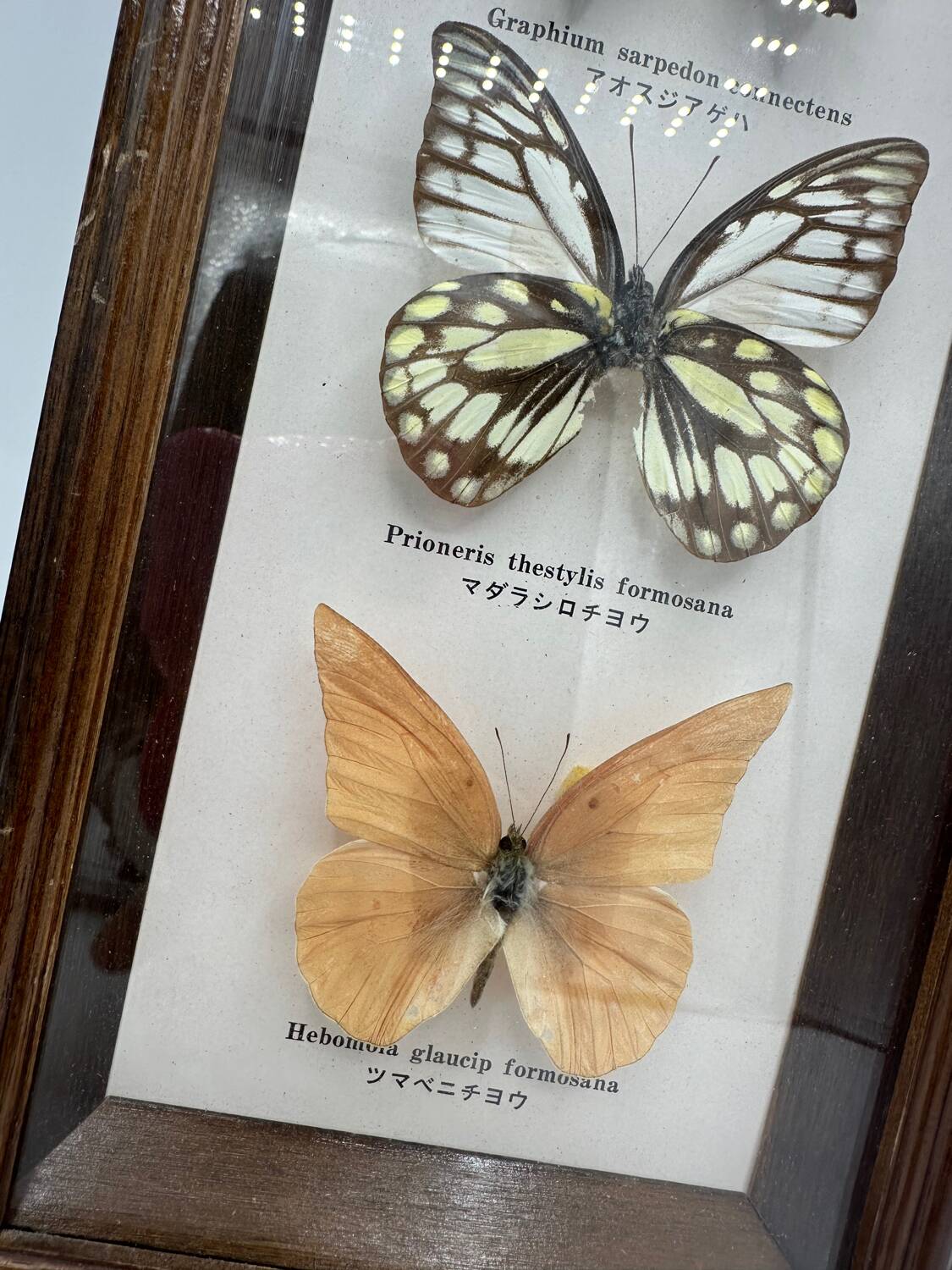 Neutralized butterfly frame