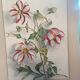 Watercolor flowers