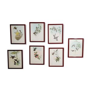 lot de 7 chromolithographies