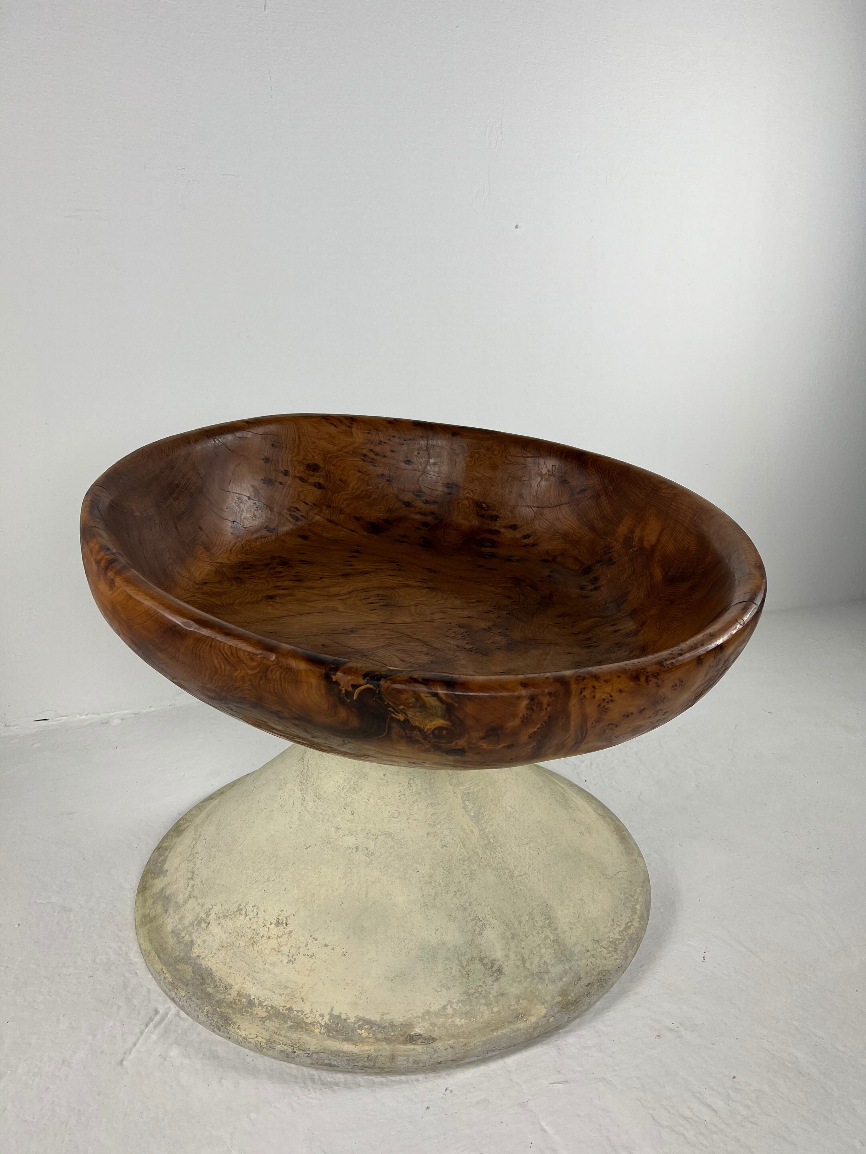 Xxl dish in tuya root