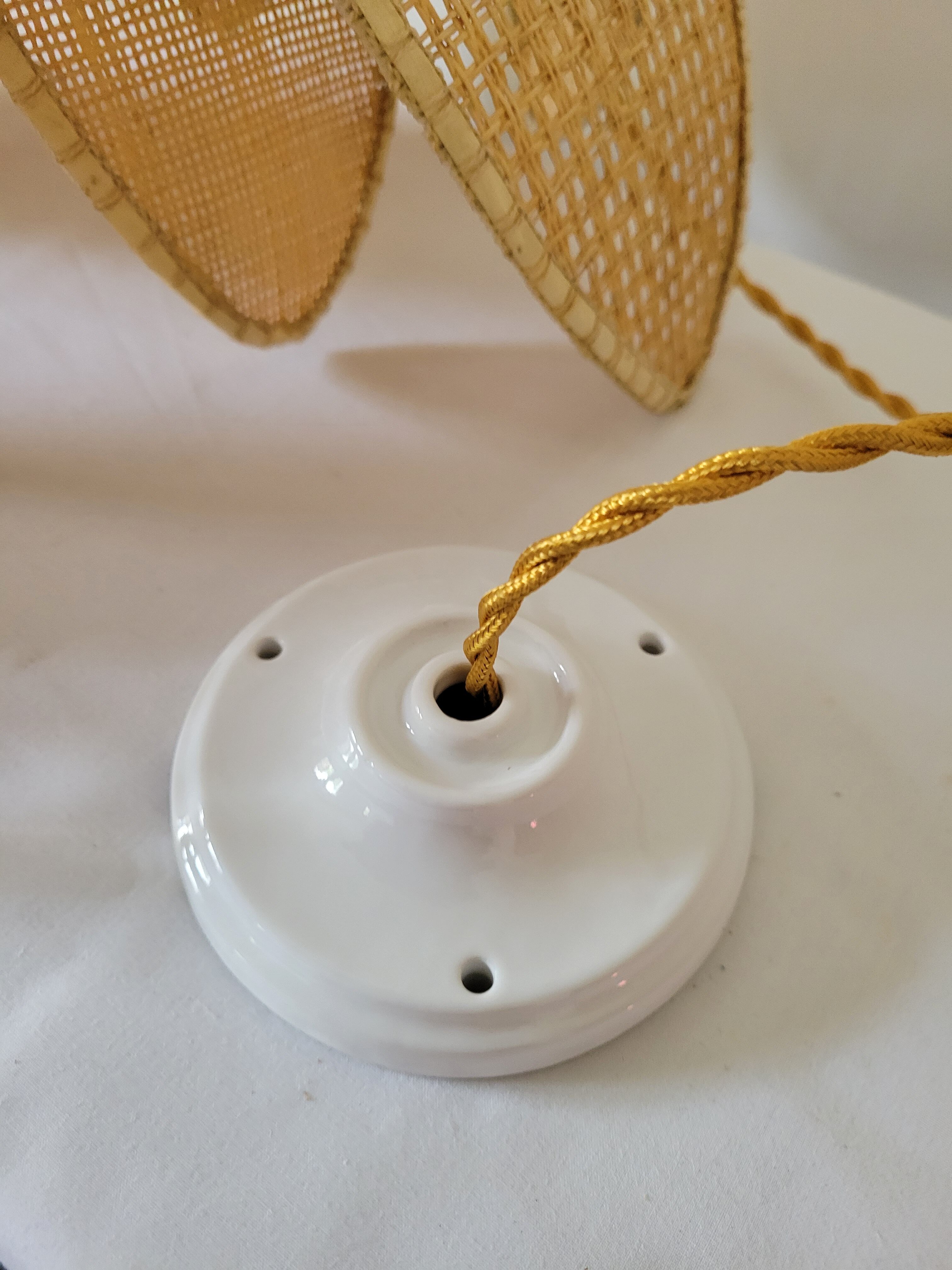 Rattan palm suspension and canning