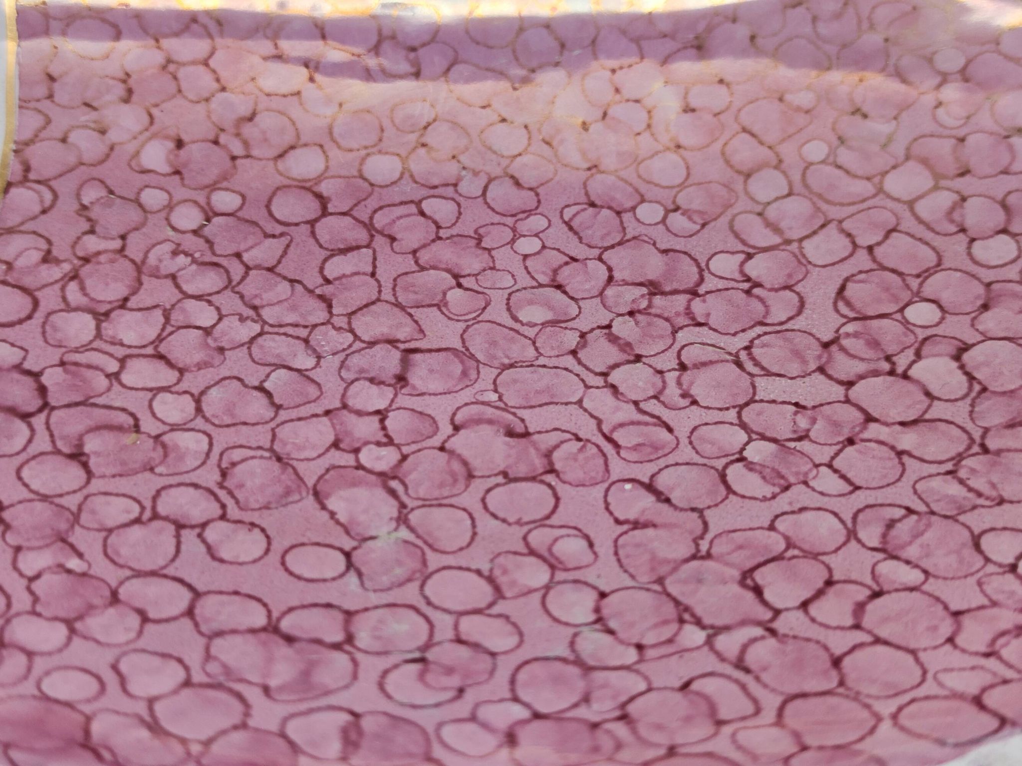 Large Ceramic Pink Fish Vide-Poche / Decorative Plate by Rometti, Italy