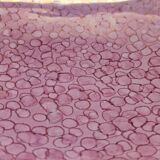 Large Ceramic Pink Fish Vide-Poche / Decorative Plate by Rometti, Italy