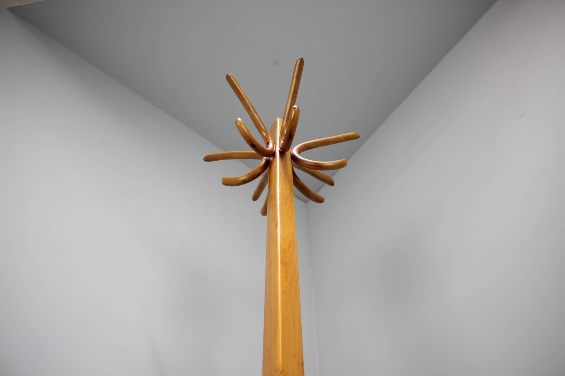 Vintage coat rack in the shape of a parrot in Bentwood - Thonet style - Early 20th century