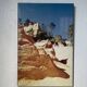 Old “desert” photo on wood