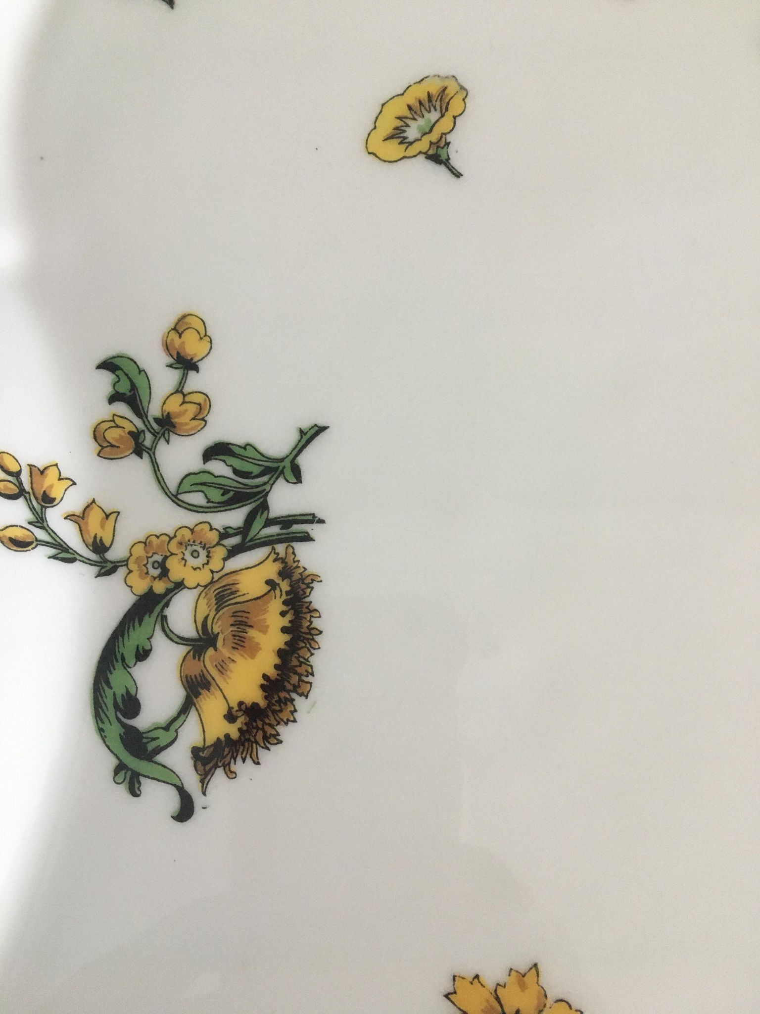 Antique Limoges porcelain dish