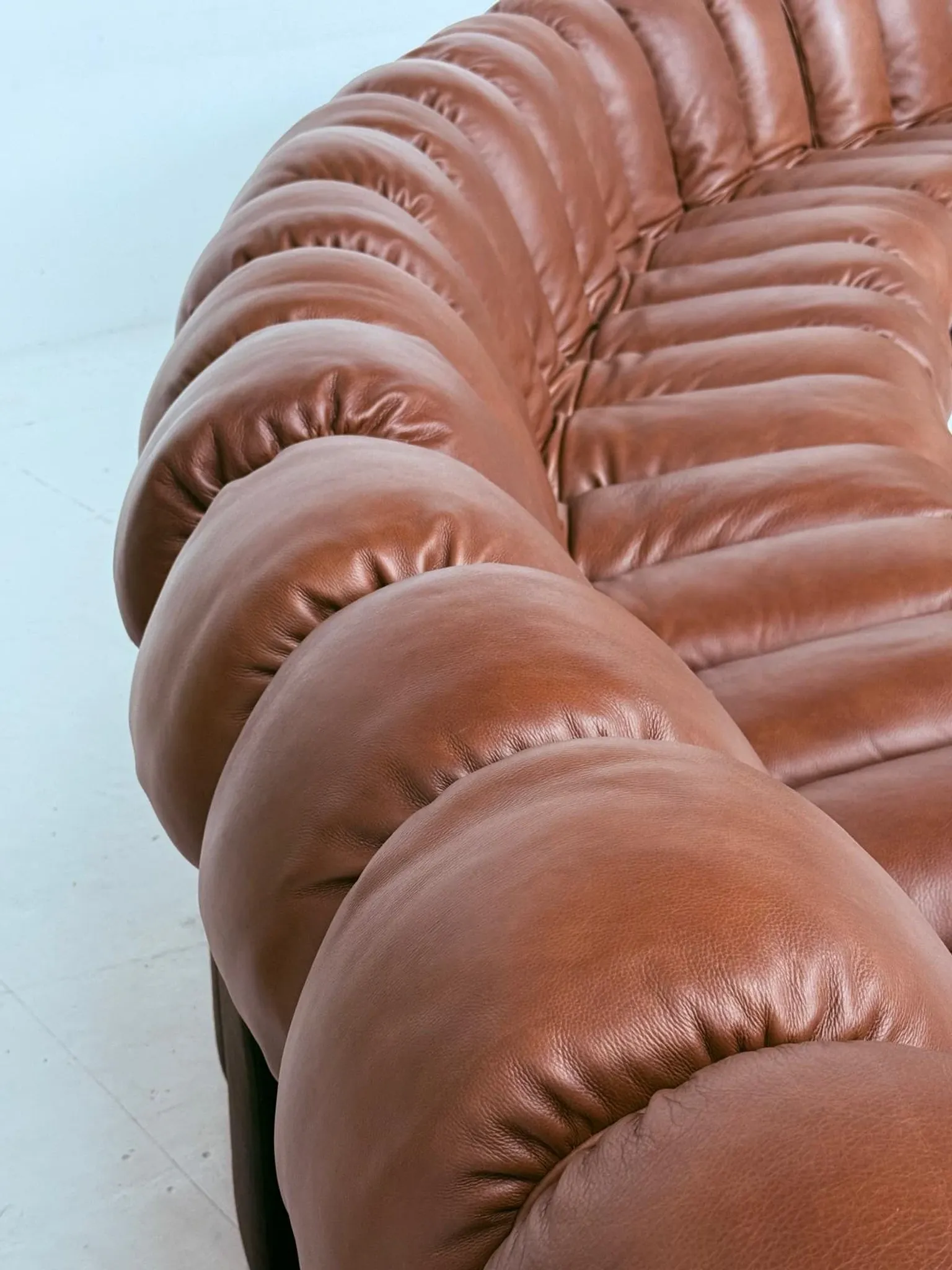 De Sede Ds600 Snake in cognac leather, 20 elements (in NEW CONDITION)!