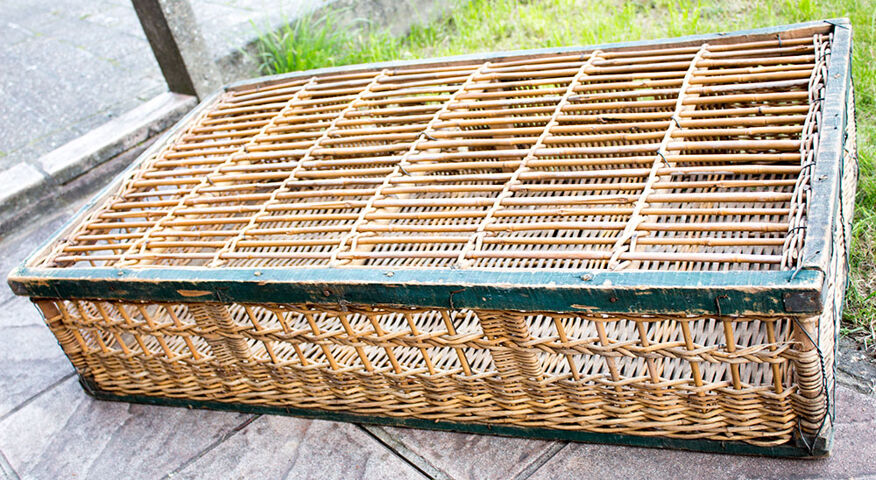 Panier de transport en Bois - Pigeons