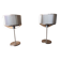 Paire de lampes en metal