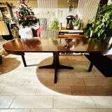 Baumann extendable table
