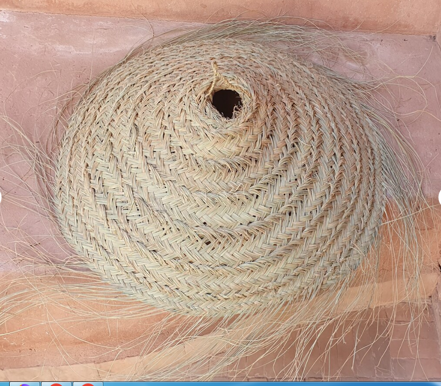 Parasol pendant lamp in braided natural fiber doum straw