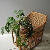 vintage rattan bamboo baby doll chair