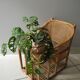 vintage rattan bamboo baby doll chair