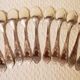 Set 11 dessert spoons in silver metal