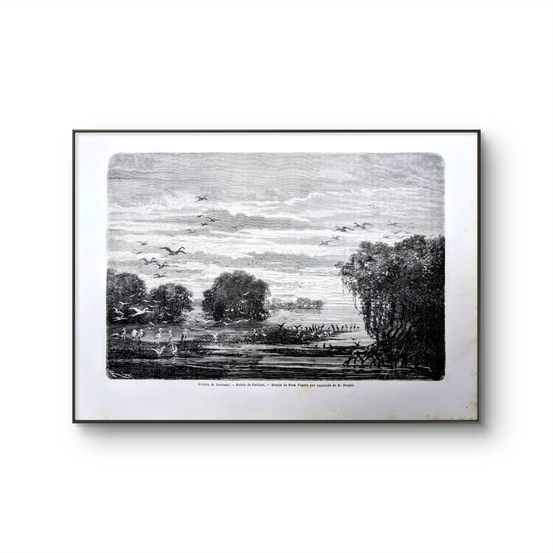 Suriname River, Parham. Printed illustration from 1866.
