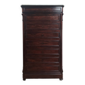 Large workshop cabinet with 8 mahogany drawers from the Napoleonic III period.