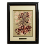 Frame with coral plant motif signed m leb