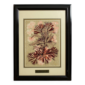 Frame with coral plant motif signed m leb