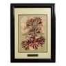 Frame with coral plant motif signed m leb