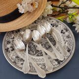 6 small spoons Ercuis