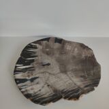 Large empty pocket or flat petrified wood - 24,5cm