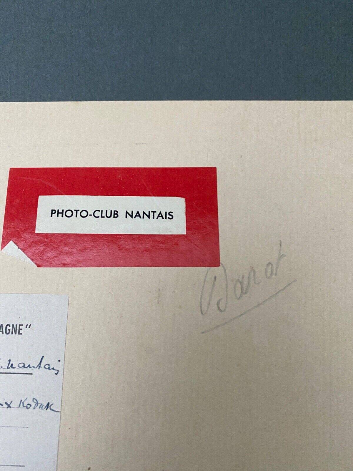 Film photography Bernard Darot XXe Lys