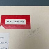 Film photography Bernard Darot XXe Lys