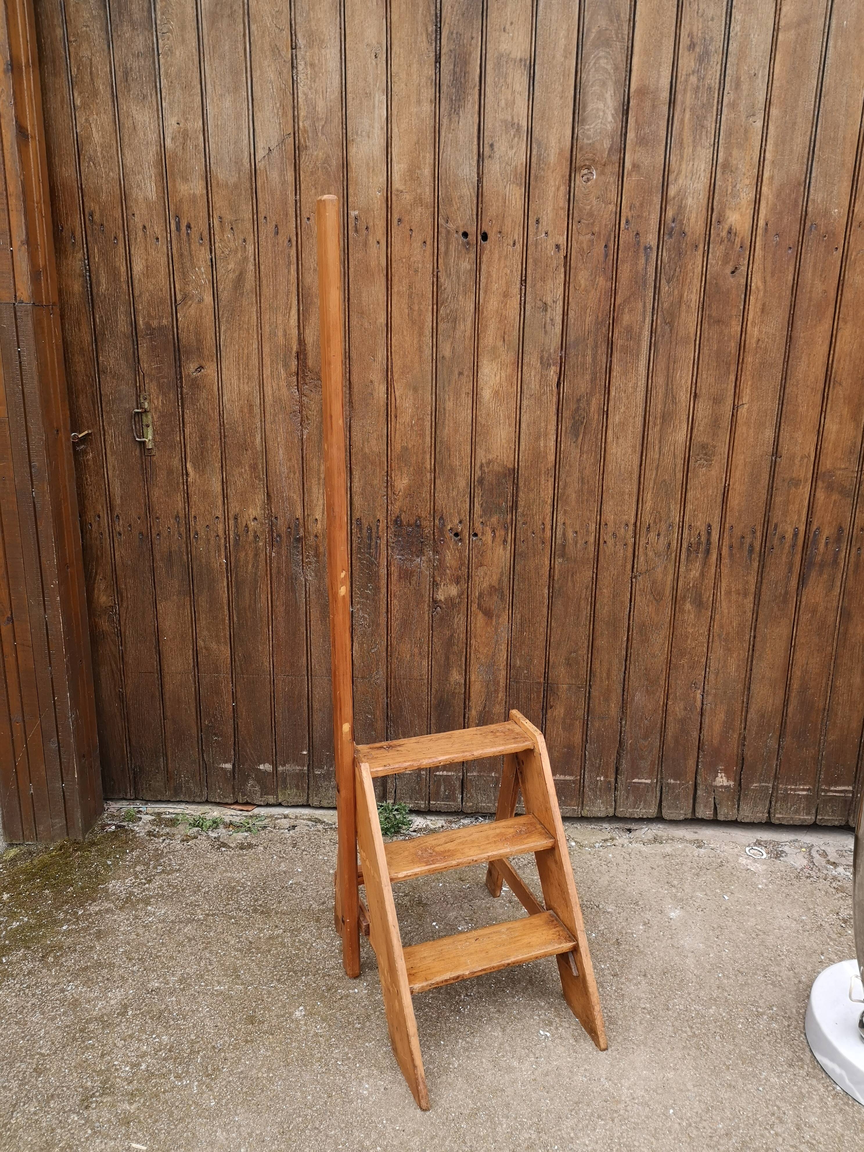 Library ladder said giraffe