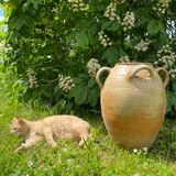 Terracotta jar