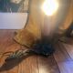 Antique bronze mirror wall light