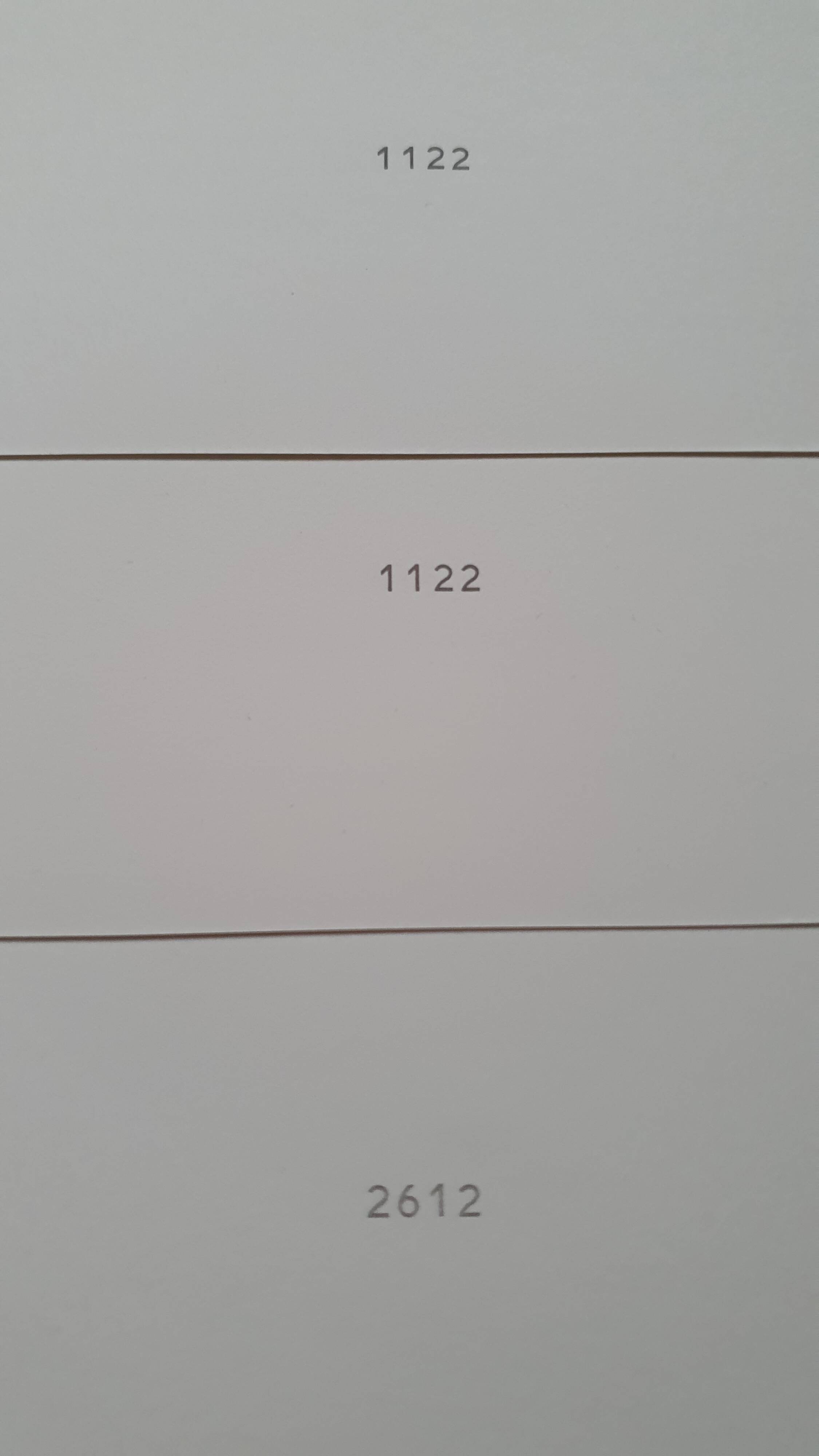 Set of 3 botanical plates "Yellow"- LPR22051B