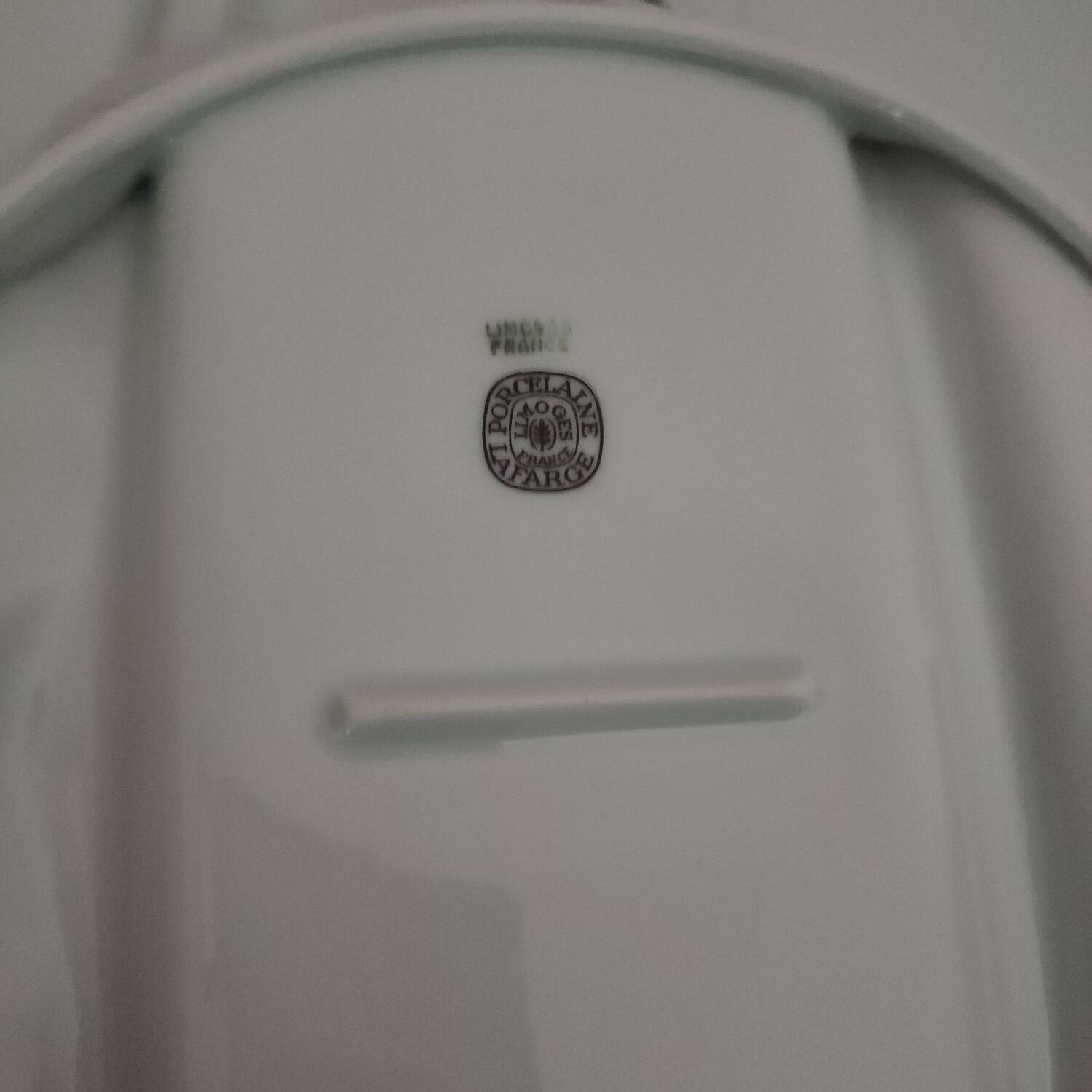 Set of 5 porcelain asparagus plates Lafarge Limoges France