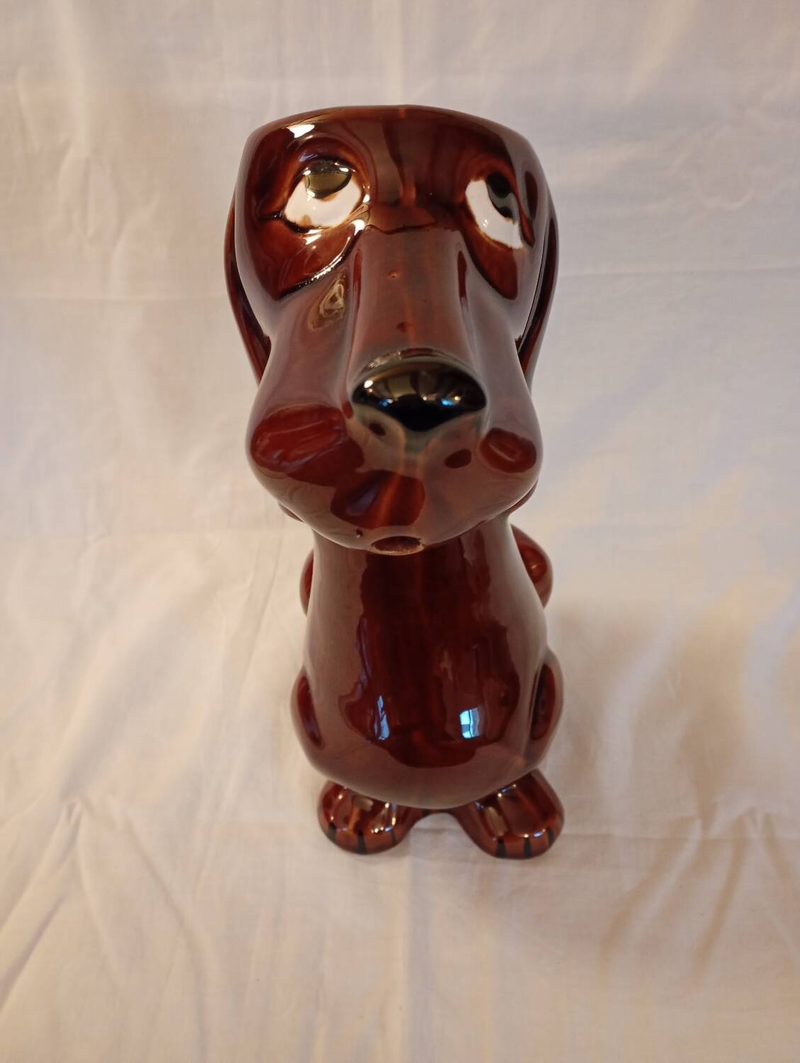 Dog pitcher
