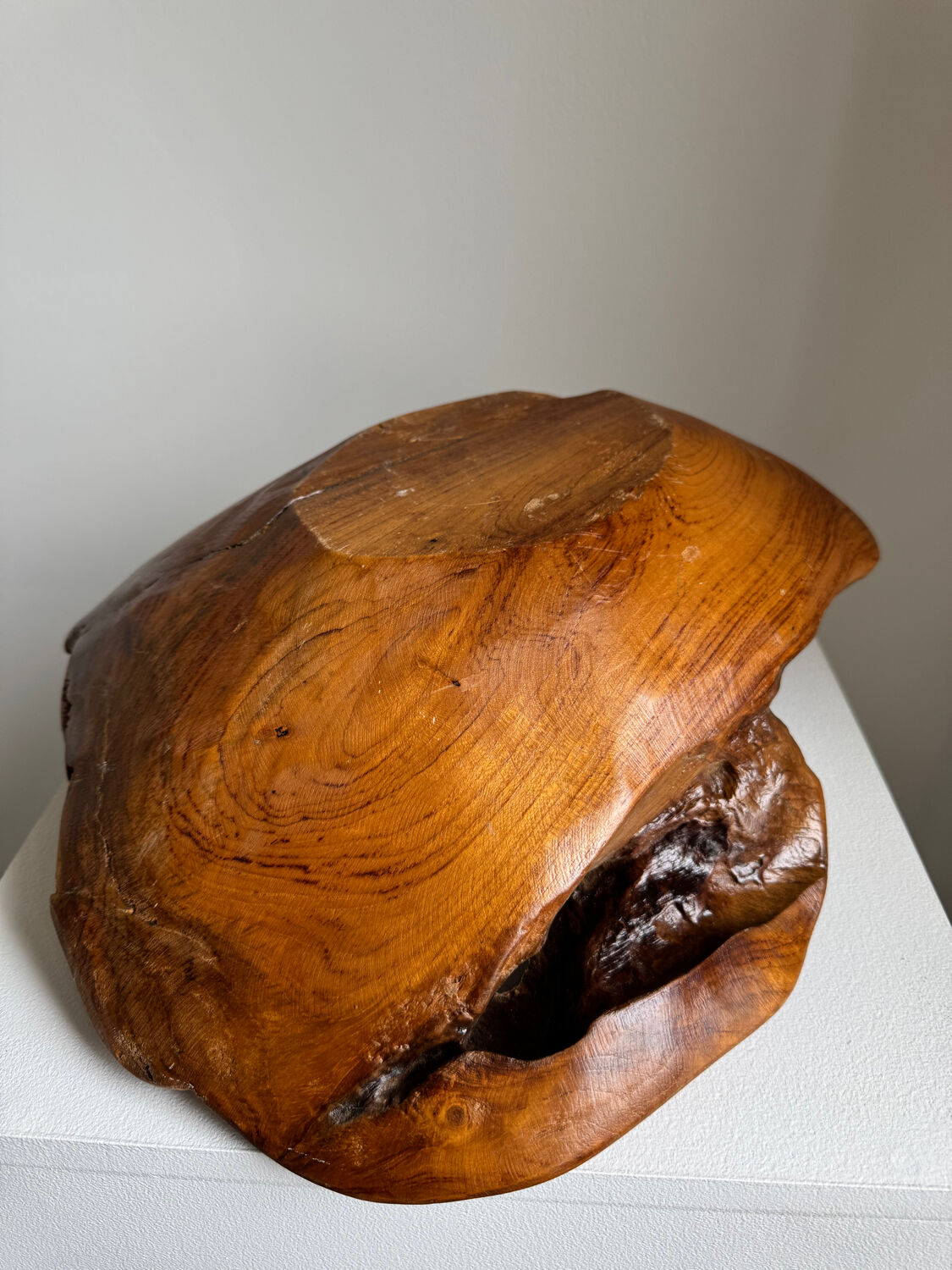 Organic Handcarved Large Teak Root Bowl