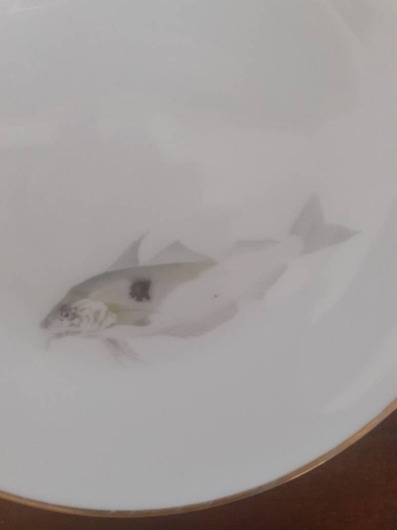 set of 4 Bavaria Hutschenreuther porcelain fish plates