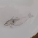 set of 4 Bavaria Hutschenreuther porcelain fish plates