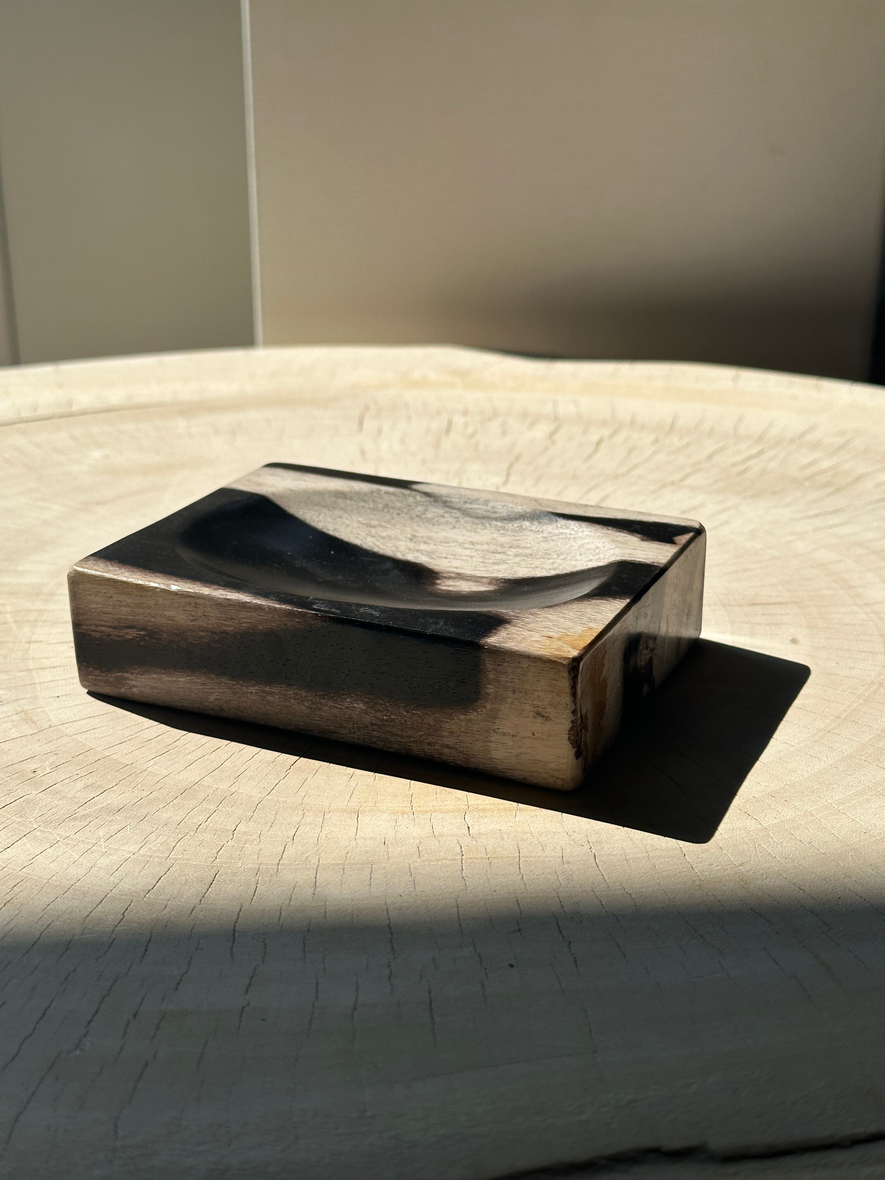 Symmetrical multicolored petrified wood soap dish