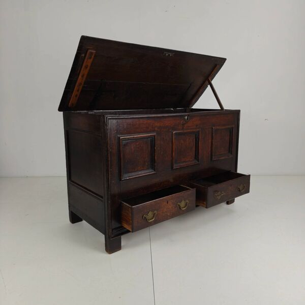 Coffre en chêne géorgien du XVIIIe siècle / coffre / boîte à couvertures antique