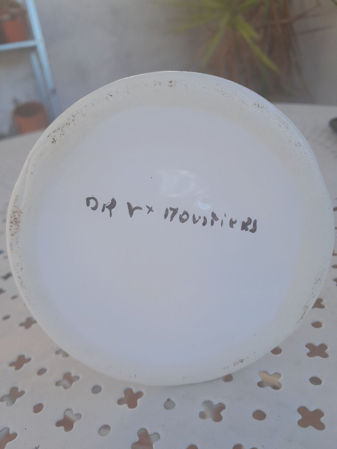 Earthenware candlesticks from Moustiers