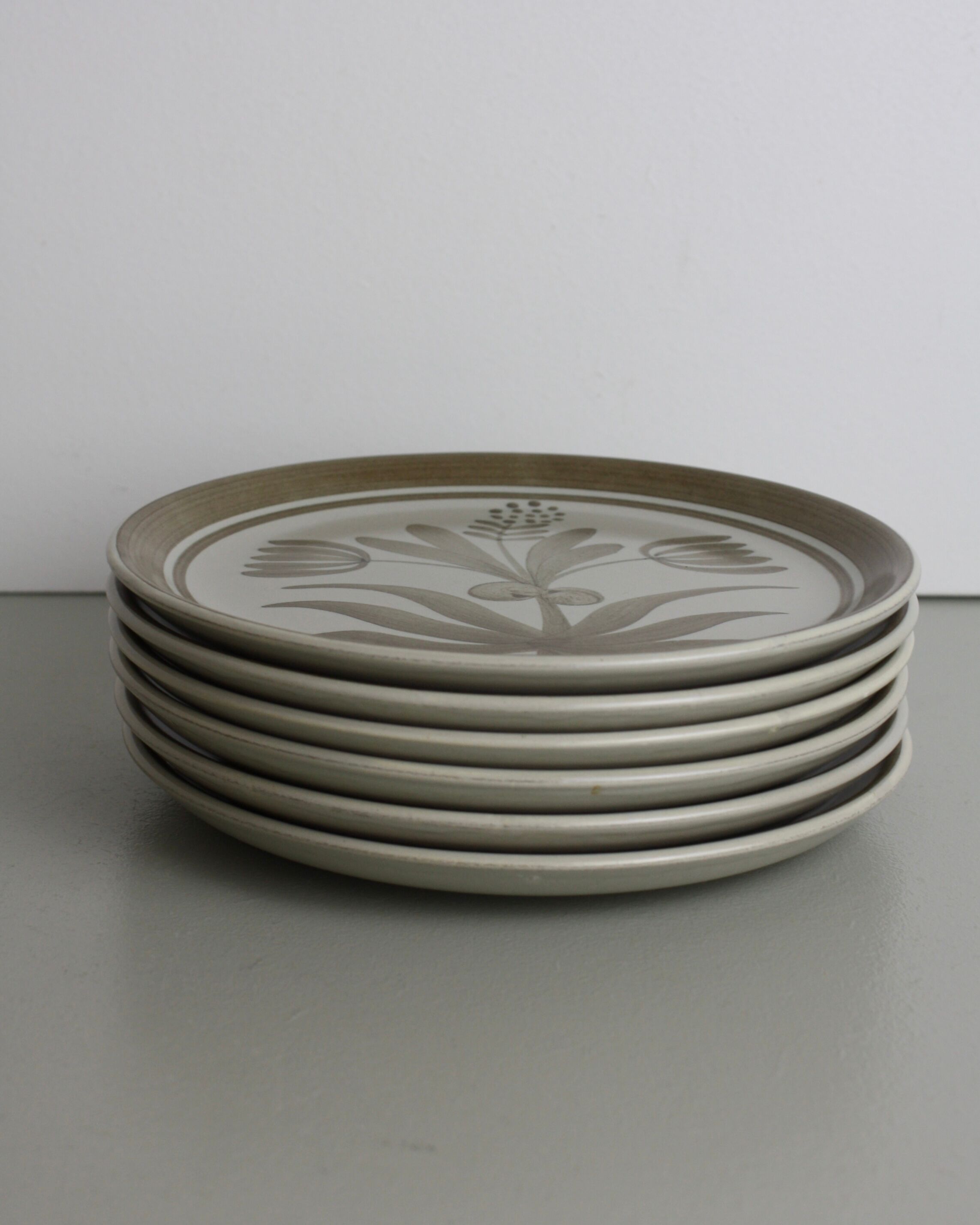 Set of 12 plates Longchamp + 1 dish