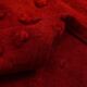 Turkish Vintage Anatolian Kilim Carpet, Shades Of Wine Red Boho Decor