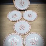 Set 6 flat plates Red and orange flowers