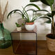Vintage smoked plexiglass cube by Miche Dumas for Roche Bobois 70.