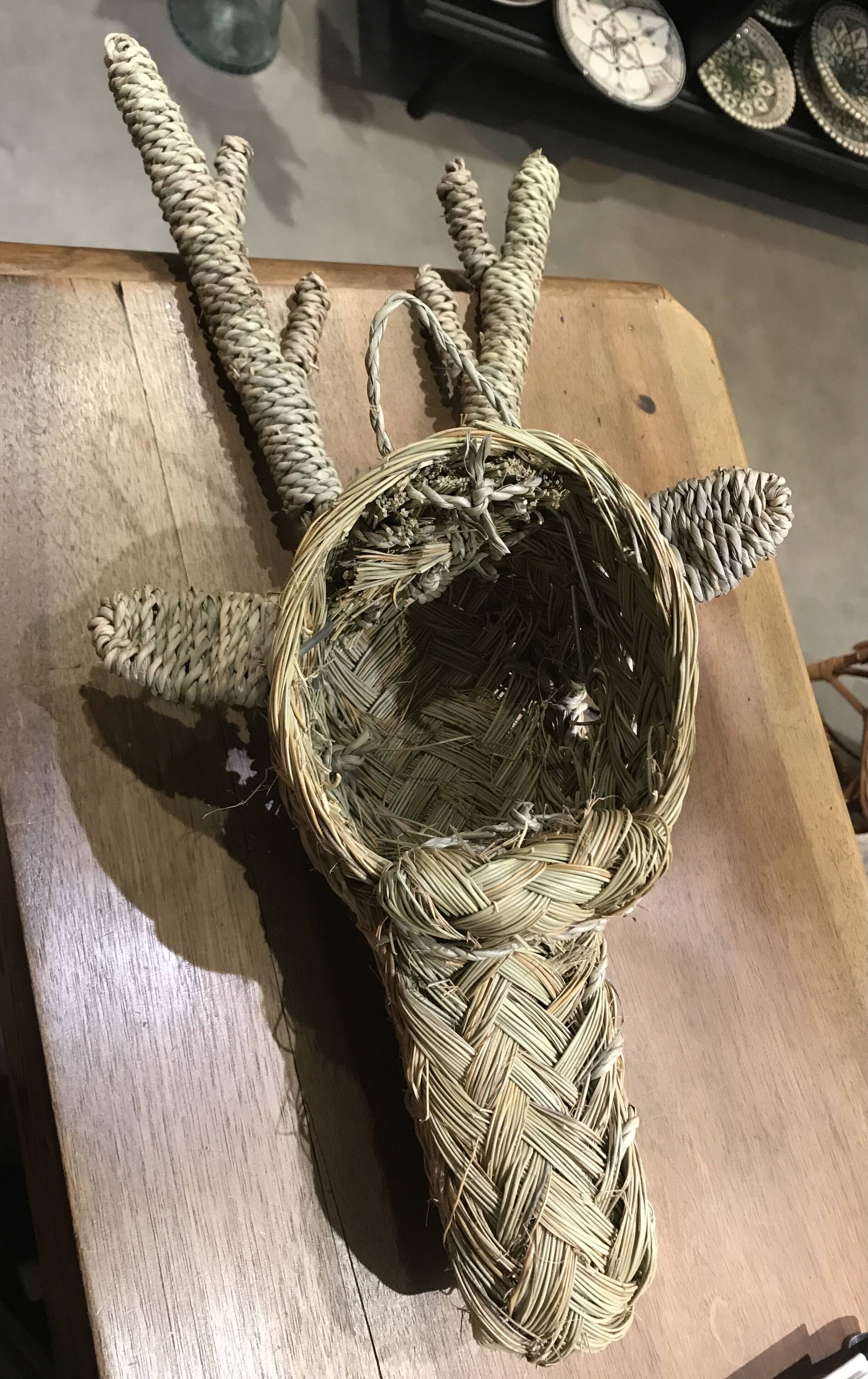 Braided alpha reindeer or deer head Morocco