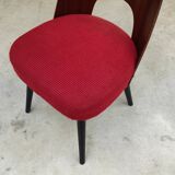 Pair of 515 -2 chairs by Oswald Haerdtl for Ton (Thonet) 1950