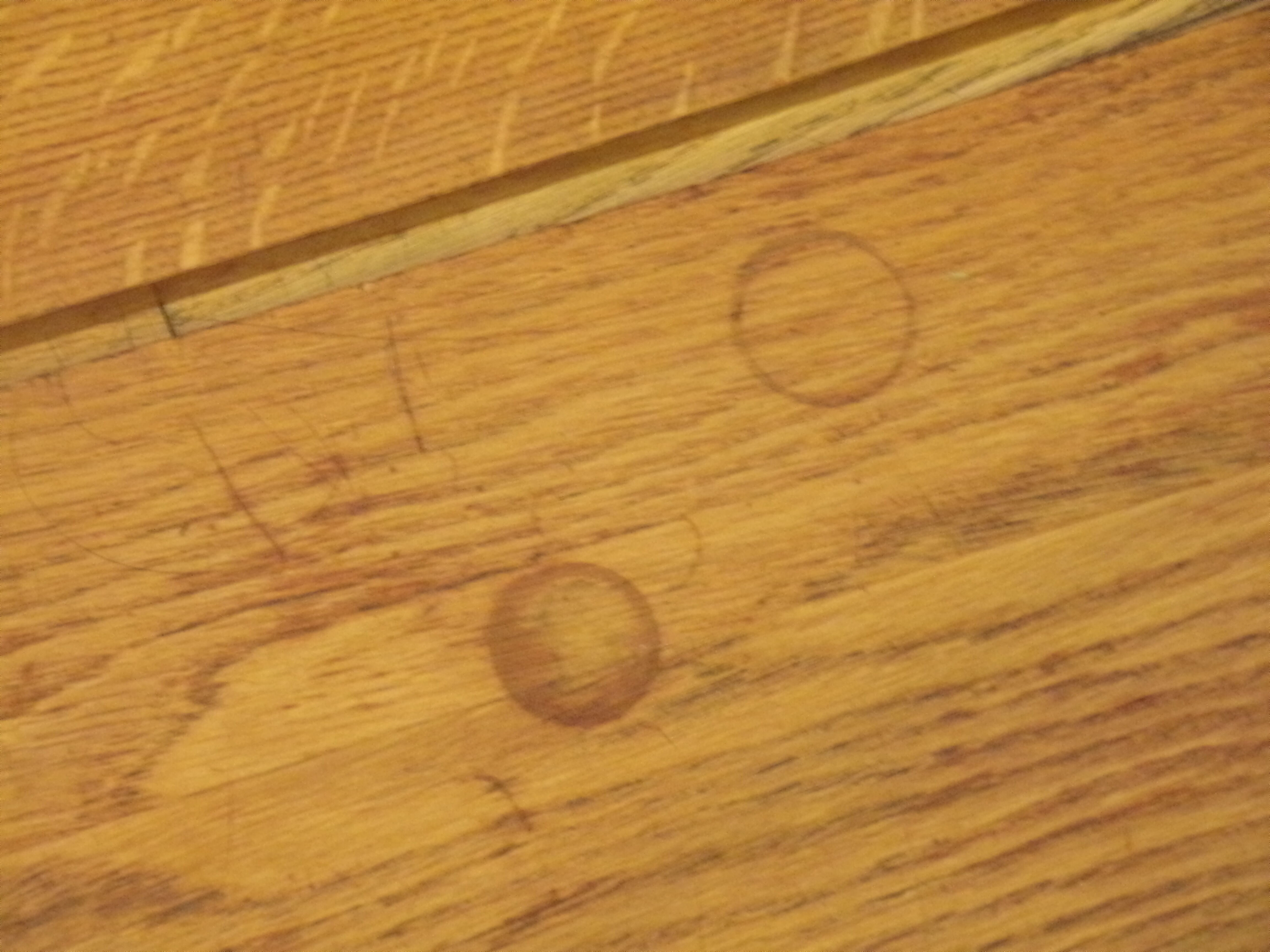 Large Alcora modular library 1960